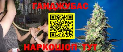 гашик Будённовск