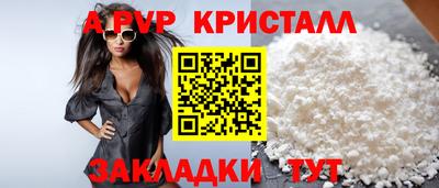 гашик Будённовск