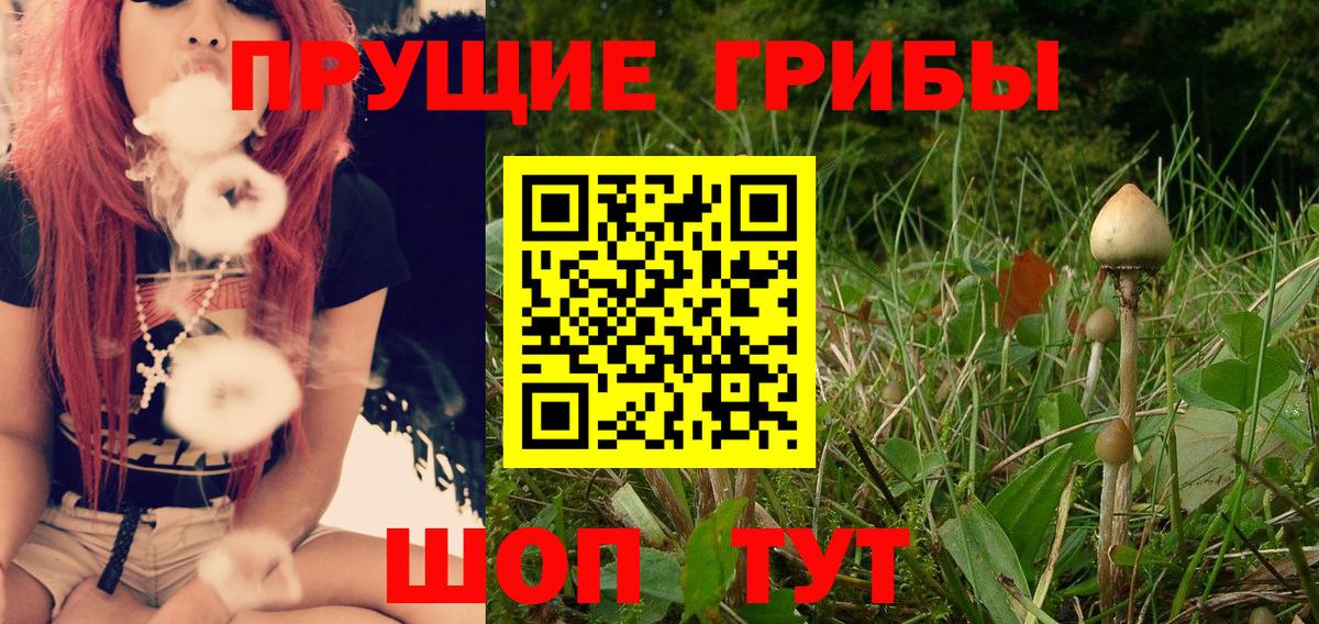 Галлюциногенные грибы Cubensis  Галлюциногенные грибы ЛСД  где найти наркотики  Вход с VPN  Надым 