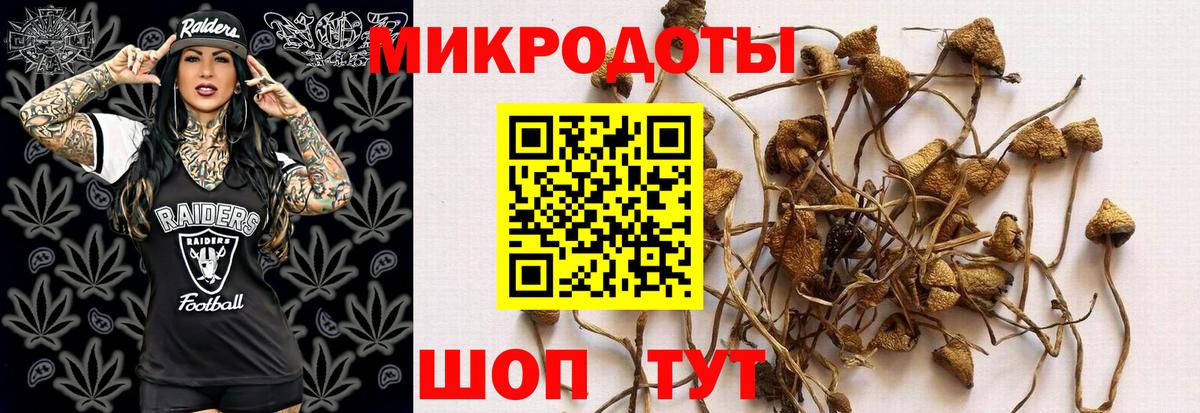 Галлюциногенные грибы ЛСД Надым